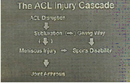 acl injury cascade,acl injury,acl reconstruction india,acl reconstruction best india,acl reconstructionbest doctors in india,acl reconstruction best surgeon in india,acl reconstructionbest surgery in india,acl reconstruction best treatment in india,acl reconstruction in south india,acl reconstruction north india,acl reconstruction east india,acl reconstruction west india,acl reconstruction best in india,acl reconstruction best surgery in india,acl reconstruction cost-effective in india,acl reconstruction best doctors in india,acl reconstruction india,acl reconstruction india,acl reconstruction india,acl reconstruction now in india,acl reconstruction india