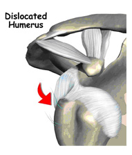 shoulder