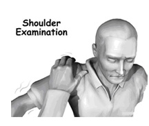 shoulder
