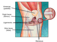 arthroscopy india, arthroscopy chhattisgarh,arthroscopy surgery india,arthroscopy surgen india,arthroscopy surgen india,arthroscopy surgery india,arthroscopy surgen chhattisgarh,arthroscopy doctors chhattisgarh,arthroscopy doctors india,arthroscopy clinic chhattisgarh,arthroscopy clinic india,arthroscopy south chhattisgarh,arthroscopy north chhattisgarh,arthroscopy west chhattisgarh,arthroscopy south -ex chhattisgarh,arthroscopy joints surgery,arthroscopy patient chhattisgarh,arthroscopy patient india,arthroscopy surgen india,arthroscopy surgery chhattisgarh,arthroscopy doctors clinic india,arthroscopy south surgen chhattisgarh,arthroscopy west chhattisgarh,arthroscopy patient india,arthroscopy patitent chhattisgarh